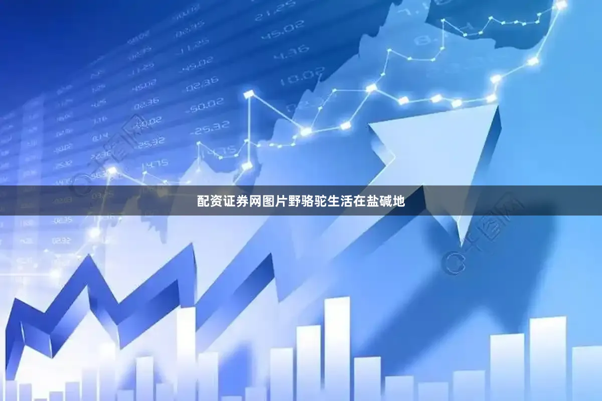 配资证券网图片野骆驼生活在盐碱地