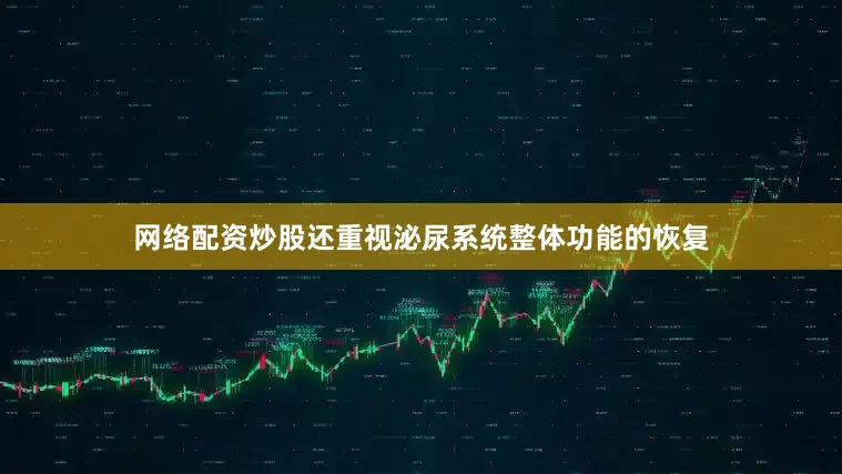 网络配资炒股还重视泌尿系统整体功能的恢复