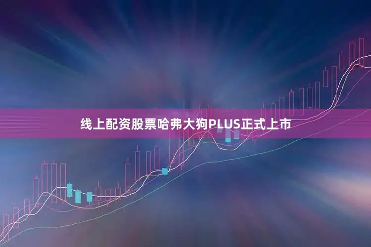 线上配资股票哈弗大狗PLUS正式上市