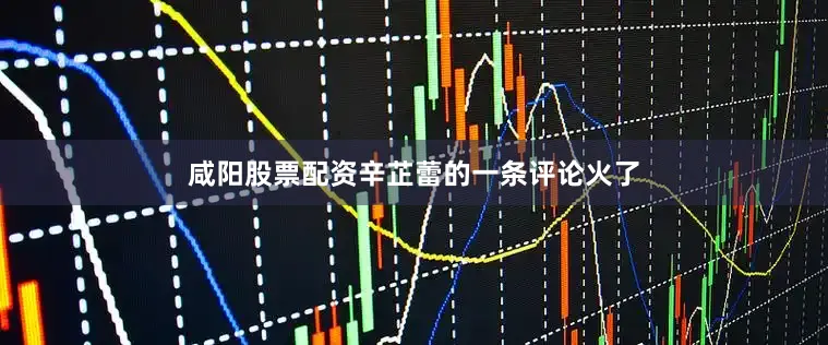 咸阳股票配资辛芷蕾的一条评论火了